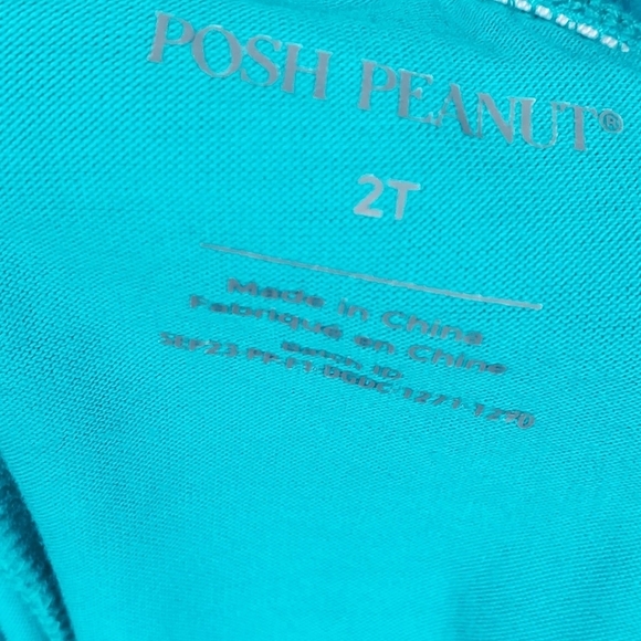 NWT Posh Peanut Tulle Ruffled Leggings Turquoise Aqua Toddler Girls Size 2T - Picture 3 of 4